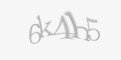 Защитный код