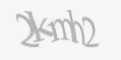 Защитный код