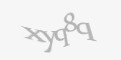 Защитный код