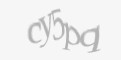 Защитный код