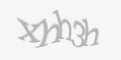 Защитный код
