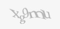 Защитный код