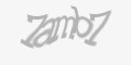 Защитный код