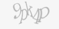 Защитный код